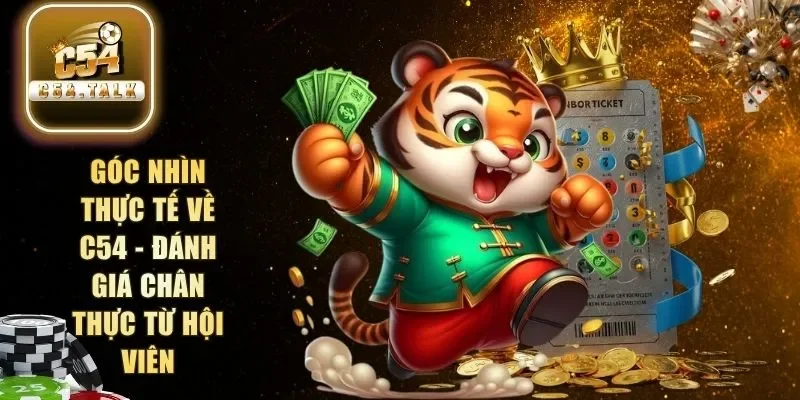 Cách đọc nhịp cược tại C54 với 3 bước cơ bản